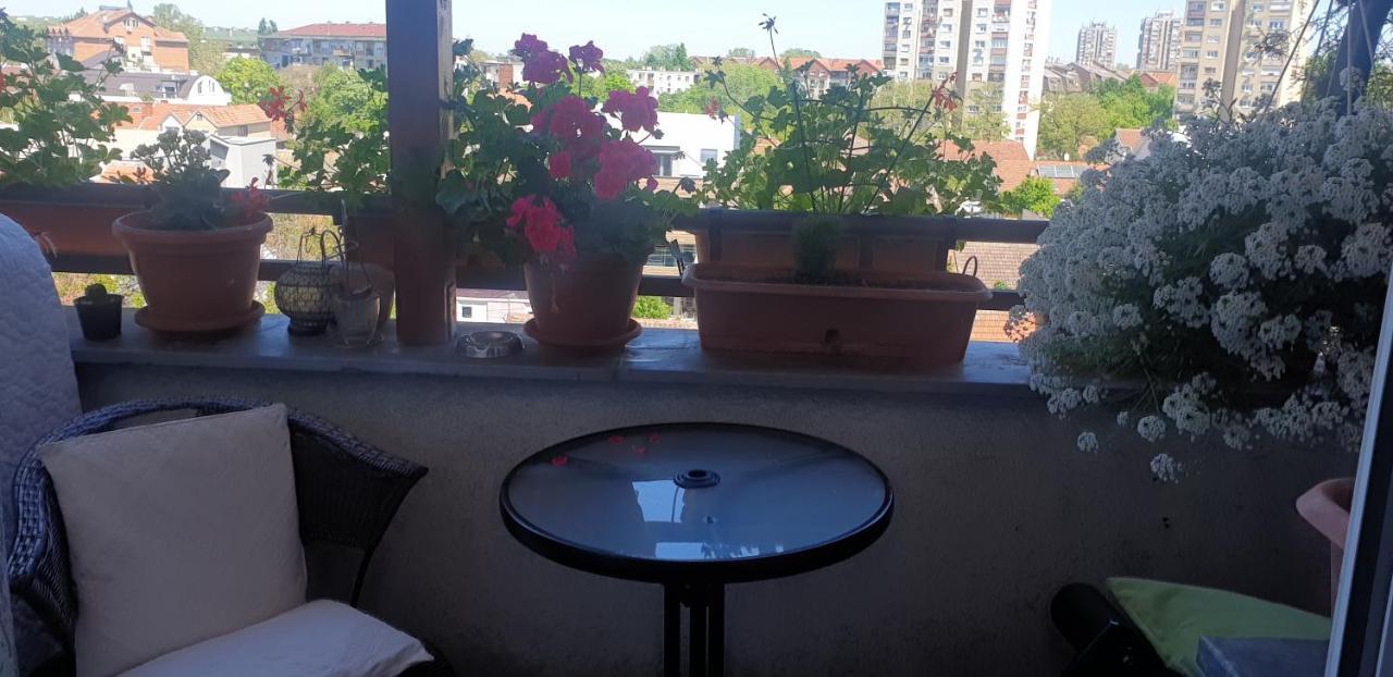 APARTMANI Emerald Dream Novi Sad Exterior foto