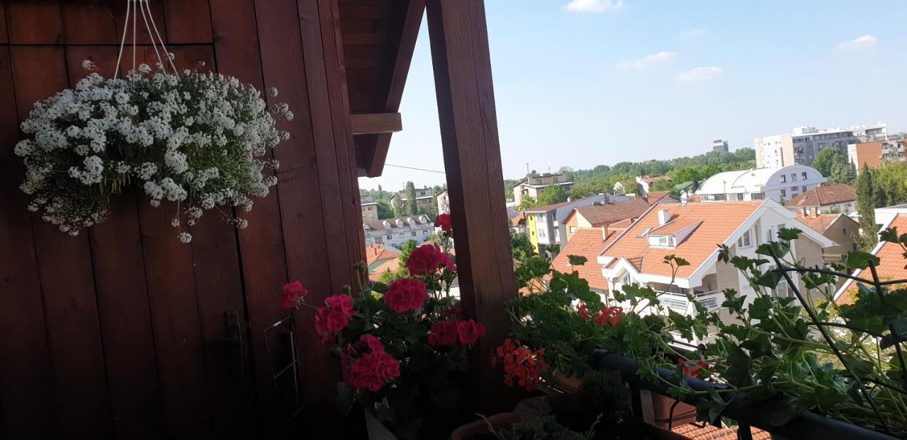 APARTMANI Emerald Dream Novi Sad Exterior foto