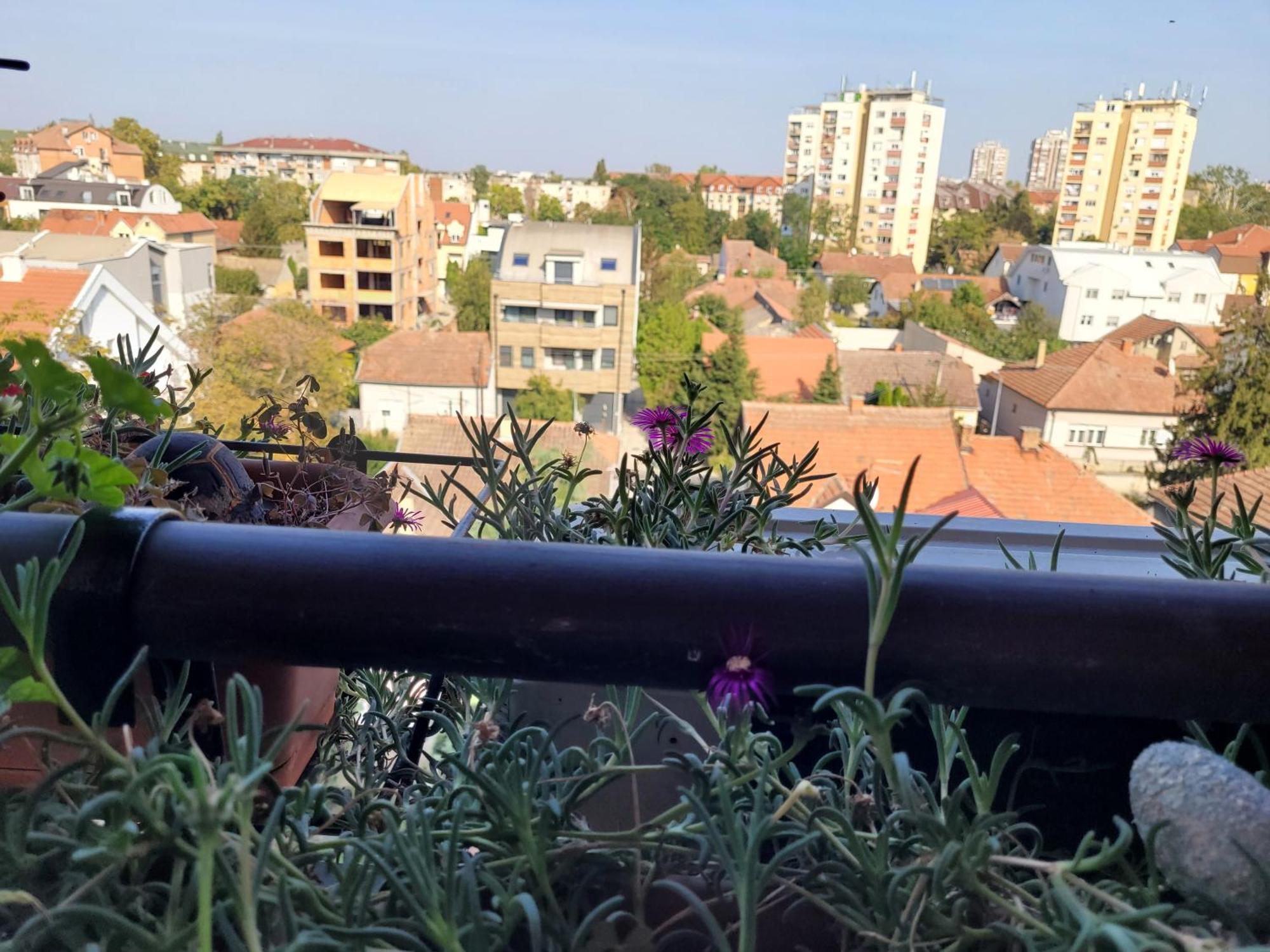 APARTMANI Emerald Dream Novi Sad Exterior foto
